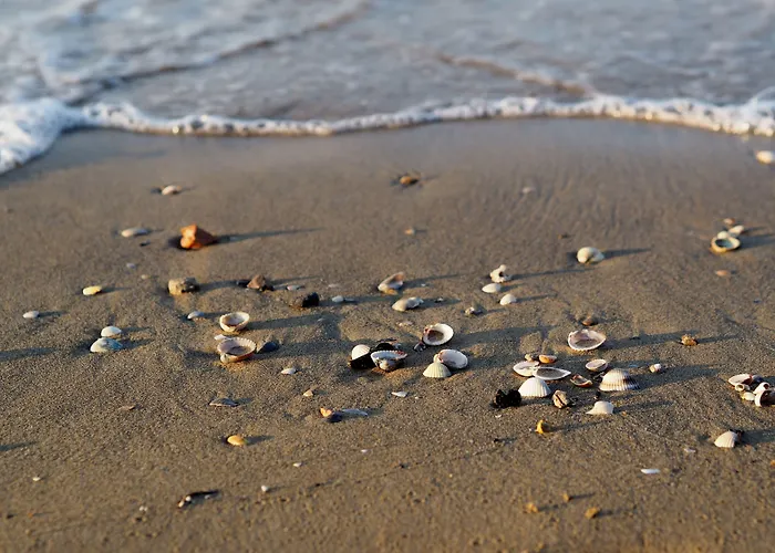 Luminous Flat With Attic With Pool * Bibione